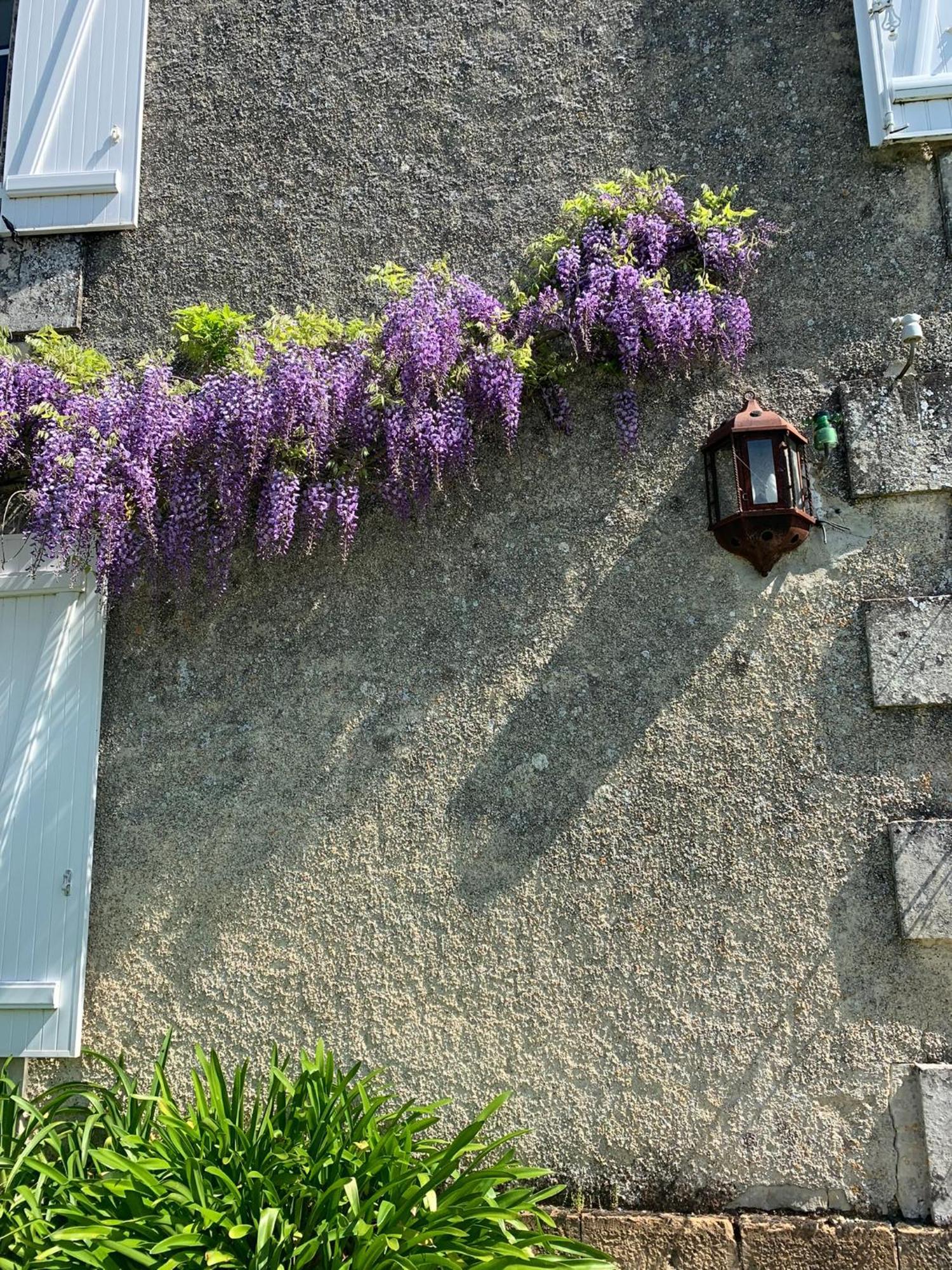 No5 Chambre D'Hotes Courcome Kültér fotó